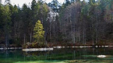 Badersee