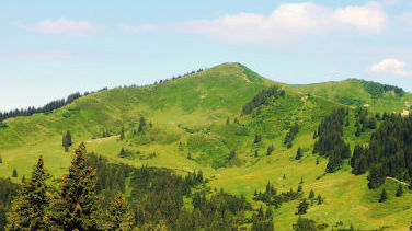 Riedberger Horn