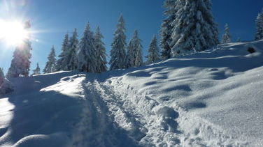 Zauberhafte Winterlandschaft