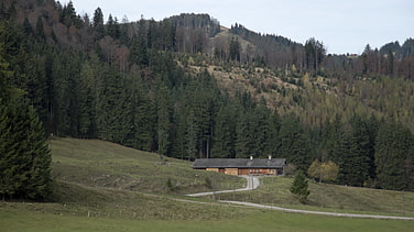 Die untere Krainsbergalm