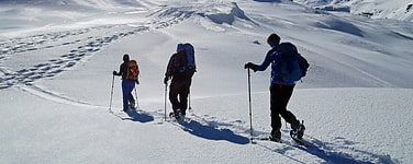 zur Gruppe