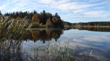 Am Deixlfurter See