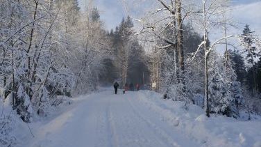 Winterwunderland