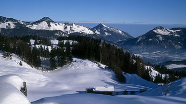 Die Boaralm am Scheibenkogel