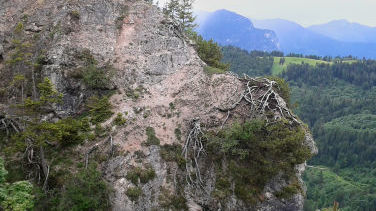 Der Stellwagelskopf schiebt felsige Vorsprünge nach Norden.