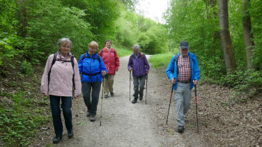 Auf dem Rückweg