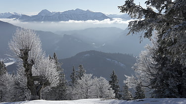 Ausblick von der Laichhansenalm auf das Karwendelgebirge