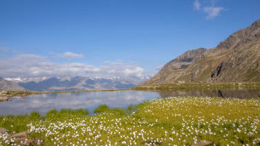 Kurz nach dem Timmelsjoch führt der Weg an schönen Seen vorbei