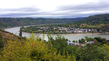 Blick von Gereonseck auf die Rheinschleife