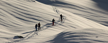 zur Gruppe