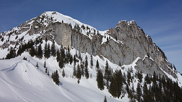 Roß- und Buchstein