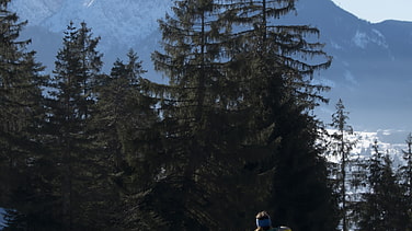 Herrlicher Ausblick zur Zugspitze