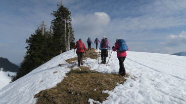 Unser Ersatzziel das Neuhütteneck (1409 m)