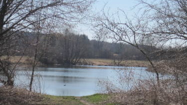 Östl. Böhmerweiher