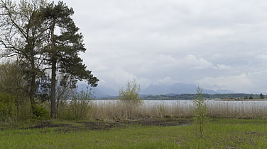 Am Chiemsee-Uferweg beim Uhrfahrner Spitz