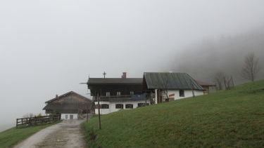 Astenhöfe im Nebel