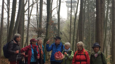 Aussichtsturm in Sicht