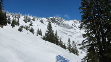 Scheinbergspitze