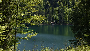 Der idyllische Freibergsee