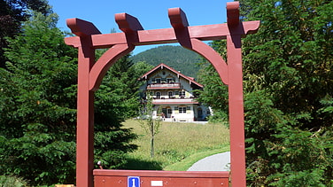Weg zum Waldrand