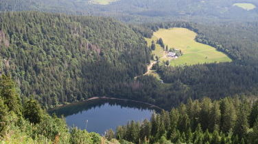 Blick vom Feldberg auf den Feldsee 