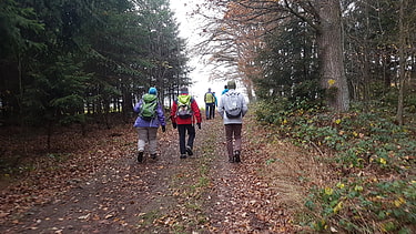 Unterwegs im Herbstwald