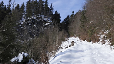 Der wcuhtige Kienstein