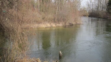 Einmündung der Amper in der Amperkanal