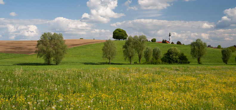 Frühling im Altoland mit Blick auf den Altomünsterer Kirchturm