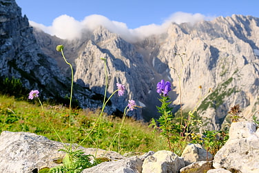 Wetterstein