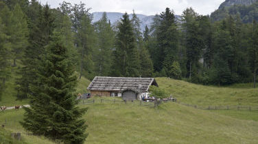 Die Reiteralm unter dem Litzlbachhörnl