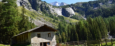 zur Gruppe