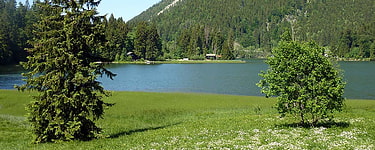 zur Tour