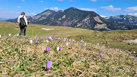 View from Daffnerwaldalm towards Hochries and Feichteck, April 4, 2021