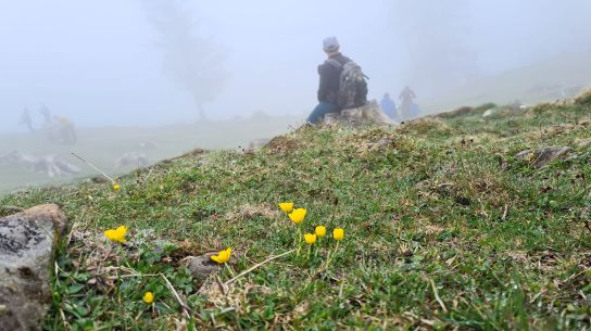 Auf dem Farrenpoint, 1. Mai 2021