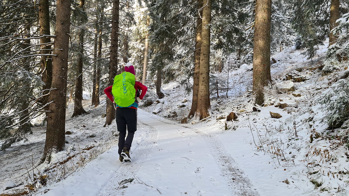 Auf dem Weg zum Hirschberg | On the way to Hirschberg