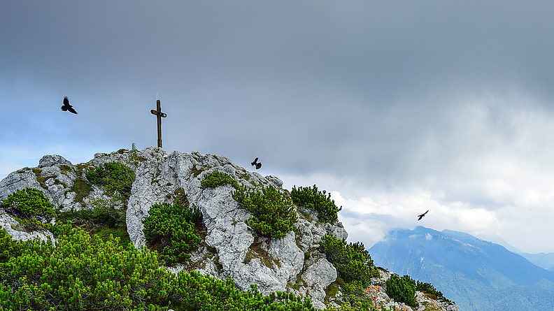 Durch Latschengassen und über Schrofen geht es zum Kreuz.