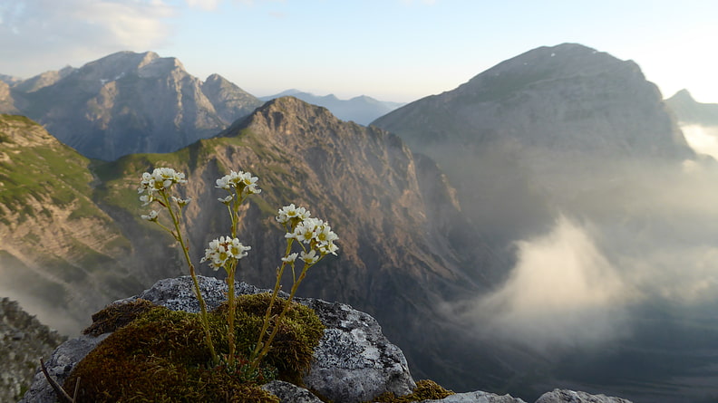 Blick vom Schafjöchl aufs Sonnjoch