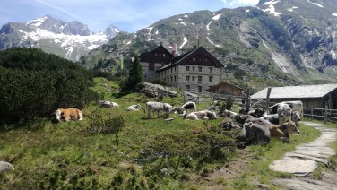 Berliner Hütte