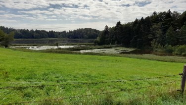 Im Naturschutzgebiet Zellsee