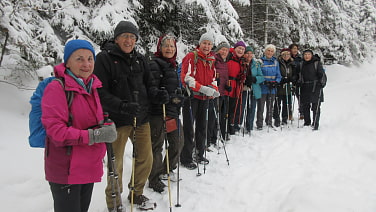 Gruppe im Winterwald