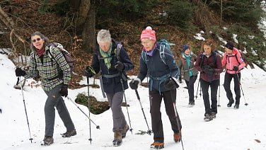 Schneebedeckte Wege im Söllbachtal