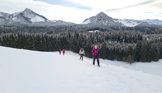 Auf dem Weg zum Heuberg, 16. Februar 2022