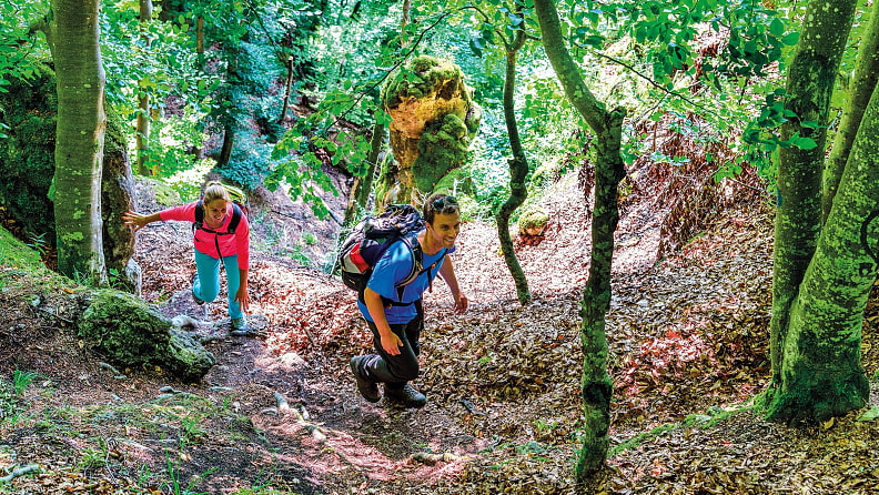 Der Weg liegt im Naturwaldreservat Beixenhart – ein Urwald, der sich weitgehend selbst überlassen wird. 