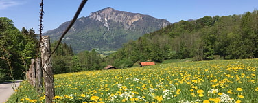zur Tour