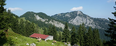 zur Tour