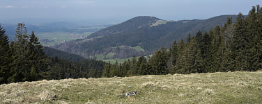 zur Tour