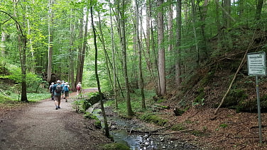 Durch die Maisinger Schlucht