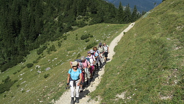 Kurz vor der Jägerbauernalm