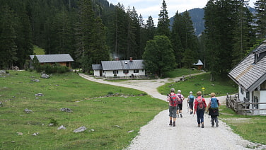 Die Vereiner Alm in Sicht...